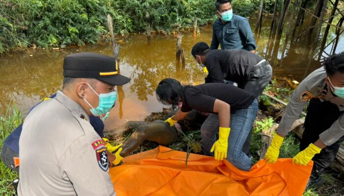 Polres Pulang Pisau Selidiki Temuan Mayat Pria di Jalan Trans Kalimantan, Jenazah Dibawa ke RS Bhayangkara