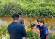 Penemuan Mayat Dekat Simpang GIJ Gegerkan Warga, Polisi Telusuri Identitas dan Penyebab Kematian