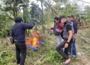 Polresta Malang Kota Bongkar Arena Judi Sabung Ayam