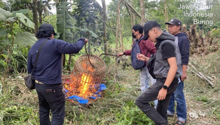 Polresta Malang Kota Bongkar Arena Judi Sabung Ayam