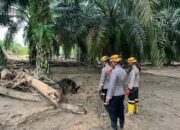 Den K9 Ditpolsatwa Baharkam Polri Berhasil Temukan Satu Korban Bencana Alam di Batang Toru, Sumatera Utara