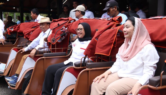 Berawal dari Empati Presiden, Becak Listrik Dibagikan, Brebes Dapat 100 Unit