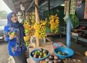 Senator Cantik Jawa Timur Lia Istifhama Soroti Nasib Pedagang Buah: “UMKM Harus Dilindungi, Bukan Dibiarkan Berjuang Sendirian”