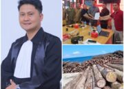Panitia Pemekaran Kepulauan Batu Minta Penutupan Permanen Dua Perusahaan di Nias Selatan