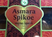 Grand Opening Roti Asmara Spikoe Resmi Dibuka di Jalan Raya Kedung Cowek–Suramadu