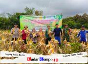 Babinsa Bersinergi Dengan Bhabinkamtibmas Panen Jagung Kuartal IV di Desa Mekar Sekuntum