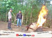 Polres Malang Bongkar Arena Perjudian Sabung Ayam di Kalipare Malang