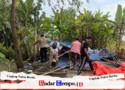 Respon Cepat 110 Polresta Sidoarjo Bongkar Arena Sabung Ayam Ploso Krembung Sidoarjo