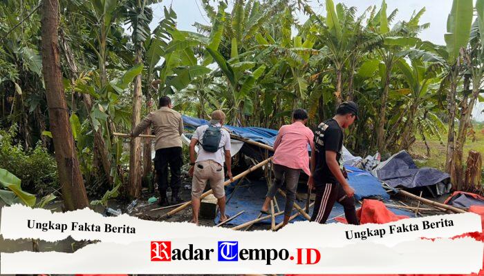 Respon Cepat 110 Polresta Sidoarjo Bongkar Arena Sabung Ayam Ploso Krembung Sidoarjo