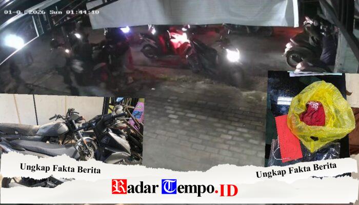 Satreskrim Polres Gresik Amankan Enam Orang Gangster Resahkan Warga Gresik