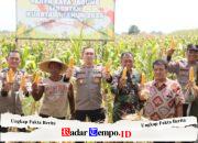 Panen Raya Jagung Serentak Kuartal I 2026, Polri Tegaskan Komitmen Dukung Swasembada Pangan Nasional