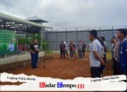 Jaringan Nasional Pemuda Hijau Adakan Gerakan Masyarakat Peduli Lapas, Lapas Warungkiara Tanam Bibit Pohon untuk Lingkungan Berkelanjutan