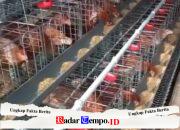 Bumdes Maju Jaya Berkembang Dalam Usahanya di Desa Buncitan Sedati Sidoarjo