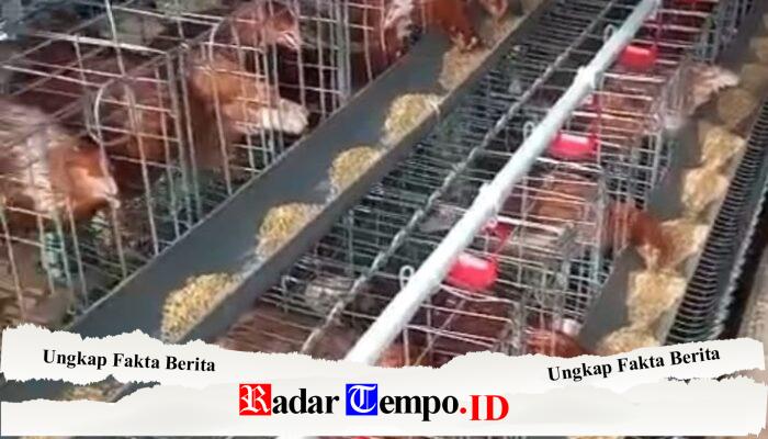 Bumdes Maju Jaya Berkembang Dalam Usahanya di Desa Buncitan Sedati Sidoarjo