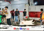 Dua Pria Diduga Curi Sepeda Motor Diamuk Massa di Jalan RA Kartini Gresik, Satu Tewas