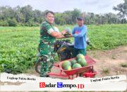 Babinsa Koramil 1008-05/Kelua–Muara Harus Dampingi Petani Semangka di Desa Pasar Panas