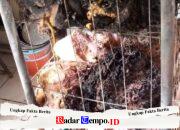 Rumah Rusun Sumur Welut Kebakaran Blok D Lantai Dua Diduga Korsleting Listrik, Tidak Ada Korban Jiwa