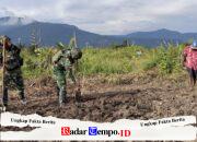 Binter TNI siapkan Lahan Pangan Satgas Yonif 521/DY, di Kobakma