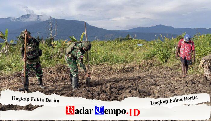 Binter TNI siapkan Lahan Pangan Satgas Yonif 521/DY, di Kobakma