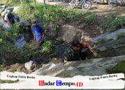 Cegah Banjir Musim Hujan, Babinsa Ngaringan Gotong Royong Bersihkan Gorong-Gorong
