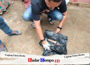 Dugaan pembunuhan di Lenteng, satu orang tewas akibat luka bacok