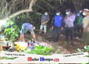 Heboh warga di sumenep Penemuan mayat pria tanpa identitas di pesisir Pantai Sepanjang Sapeken