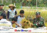 Motivasi Petani di Desa Durian Bungkuk, Babinsa Posramil Batu Ampar Ambil Bagian Laksanakan Pengubinan