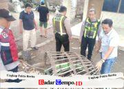 Polresta Sidoarjo Bongkar Dua Arena Sabung Ayam di Lokasi Berbeda
