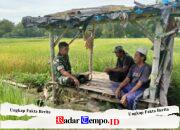 Tingkatkan Hasil Panen, Babinsa Torjun Perkuat Komunikasi Sosial Dengan Petani Desa Dulang