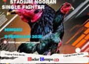 Berkedok Turnamen!!! Judi Sabung Ayam di Desa Ngoran Blitar Berjalan Lancar Tanpa Hambatan APH