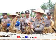 Polres Malang Panen Raya Jagung, Hasil 8 Ton untuk Dukung Stok Pangan