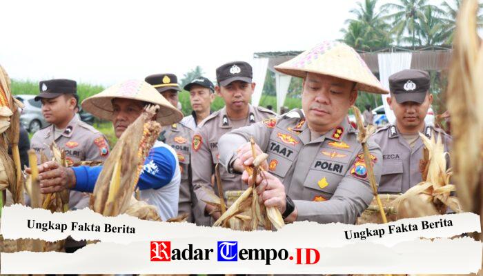 Polres Malang Panen Raya Jagung, Hasil 8 Ton untuk Dukung Stok Pangan