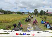 Melalui Komsos Babinsa Kodim 1009/Tla, Menjalin Silaturahmi Serta Pendampingan Kepada Petani
