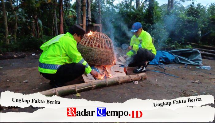 Polres Malang Bongkar Arena Sabung Ayam di Sumberpucung, Berawal dari Laporan 110