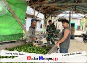 Jalin Keakraban, Babinsa Desa Mulia Laksanakan Komsos Bersama Petani Jeruk