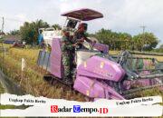 Panen Padi Bersama Petani, Babinsa Apresiasi Kinerja Petani dalam Mewujudkan Ketahanan Pangan