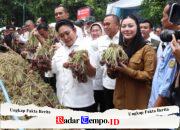 Titiek Soeharto Tinjau Industri Bawang Merah Brebes, Dorong Ekspor dan Penguatan Fasilitas Petani