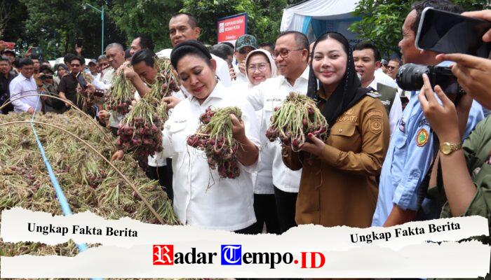 Titiek Soeharto Tinjau Industri Bawang Merah Brebes, Dorong Ekspor dan Penguatan Fasilitas Petani