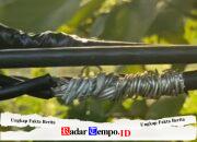 Kabel Listrik Mengelupas di Sampang, Warga Khawatir Menunggu Tindakan PLN