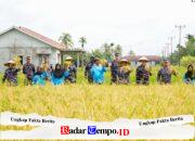 Dukung Ketahanan Pangan, Kodaeral XII Turun Langsung Panen Raya Bersama Petani