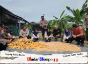 Kapolsek Kenjeran Giat Panen Jagung Pipil Sebanyak 1.625 Kg
