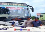 Bus Rem “Ngeblong” Tabrak Lansia di Lamongan, Korban Luka di Kepala
