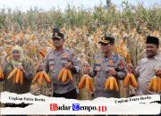 Kapolda Jatim dan Gubernur Panen Jagung di Green Farm Banyuwangi Penuhi Target Swasembada Pangan