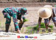 TMMD Ke 127 Kodim 0808/Blitar Genjot Sektor Pertanian, TNI Bahu Membahu Bantu Petani Desa Krisik