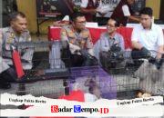 Polresta Sidoarjo Bongkar Perdagangan Satwa Dilindungi Antar Negara