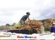 Wujud Kemanunggalan, Satgas TMMD Ke 127 Kodim 0808 Bantu Warga Panggul Pakan Ternak Dari Kebun