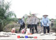 Tanam Jagung di Sela Sawit, Kapolres Pulpis Dampingi Kapolda Kalteng Dobrak Target Swasembada Pangan 2026