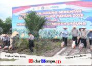 Manfaatkan Sela Pohon Sawit, Kapolres Pulang Pisau Dampingi Kapolda Kalteng Sulap 128 Hektare Lahan Jadi Kebun Jagung!