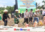 Kasdim 1009/Tanah Laut Hadiri Penanaman Jagung Serentak Kuartal I Tahun 2026 Polres Tanah Laut
