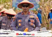 Panen Raya Jagung 1 Hektar di Seduri, Kapolsek Balongbendo Pimpin Dukungan Program Ketahanan Pangan Nasional